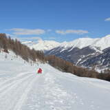 Schlittelweg von der Alp Es-cha Dadour