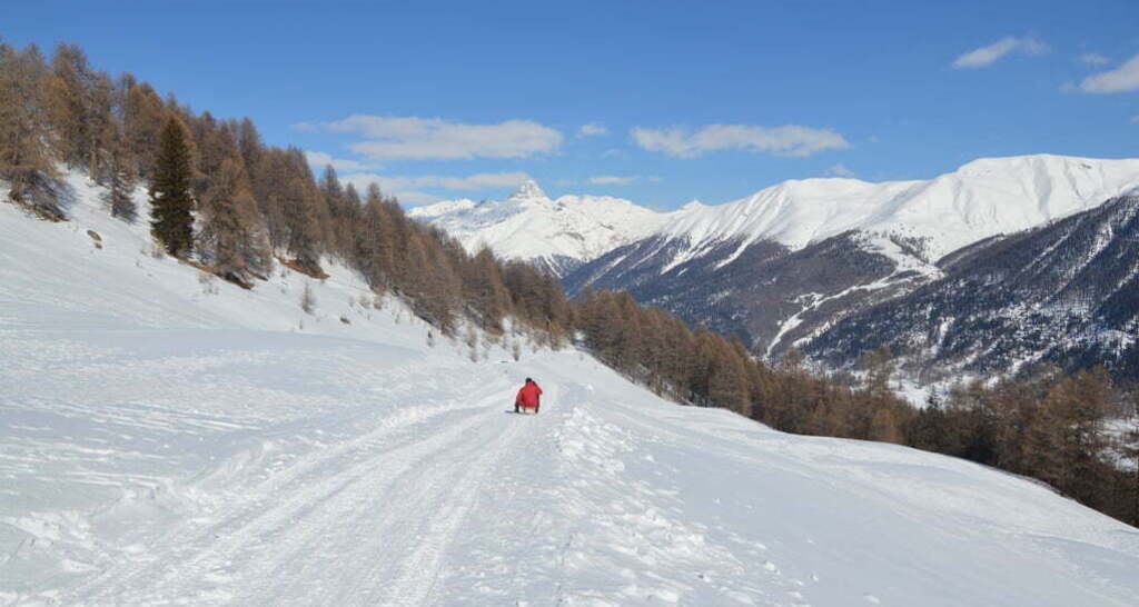 Schlittelweg von der Alp Es-cha Dadour