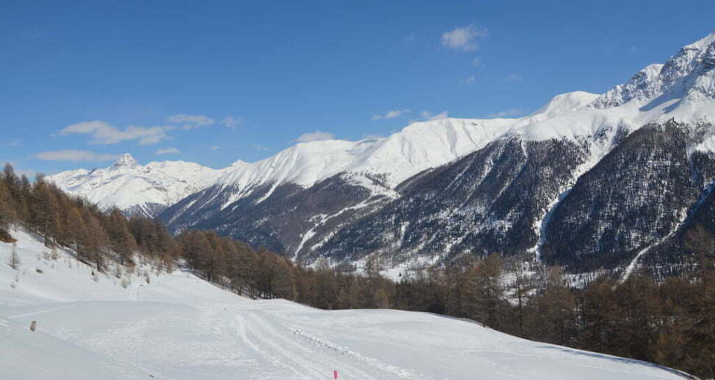 Schlittelweg von der Alp Es-cha Dadour