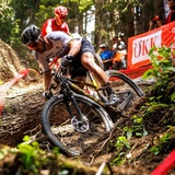 ÖKK Wurzelparty Abschnitt