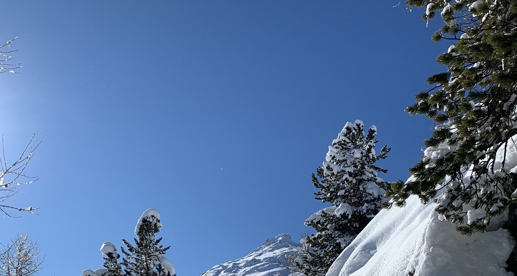 Weg zur Alp Muntatsch
