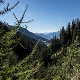 View towards Langwies