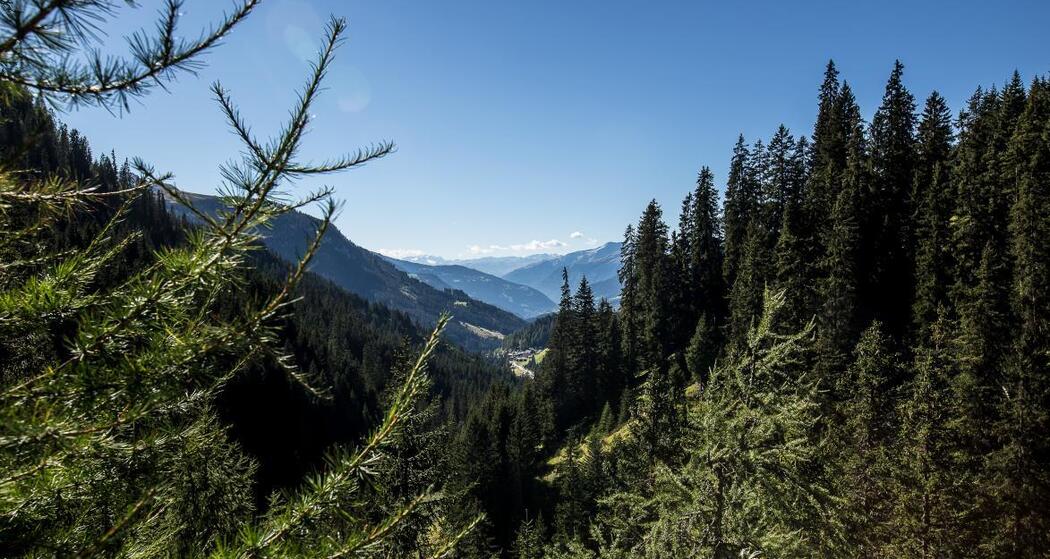 Aussicht nach Langwies