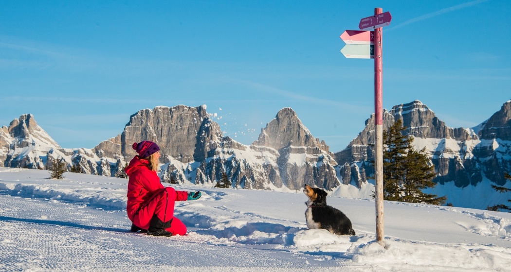 Winterwandern Cafrida - Prodalp