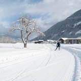 Ideales Gelände für entspannte Langlaufrunden