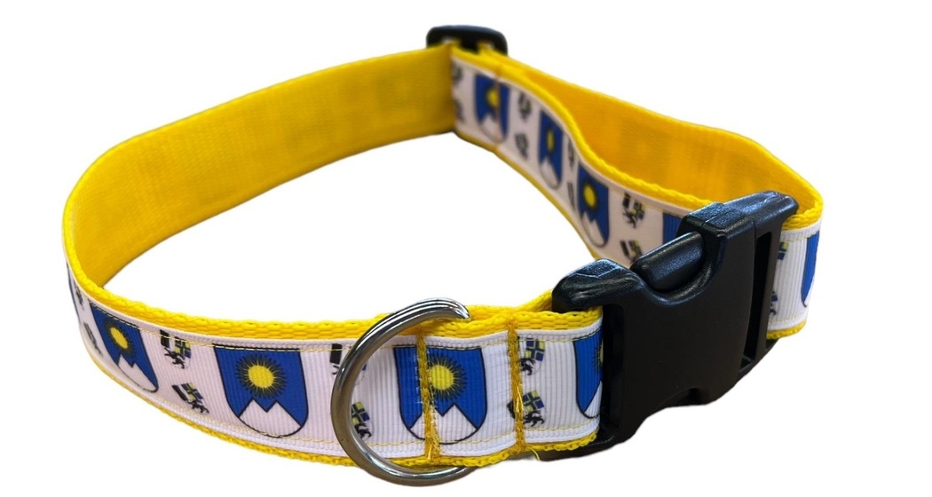 Arosa-Hundehalsband-gelb-30mm