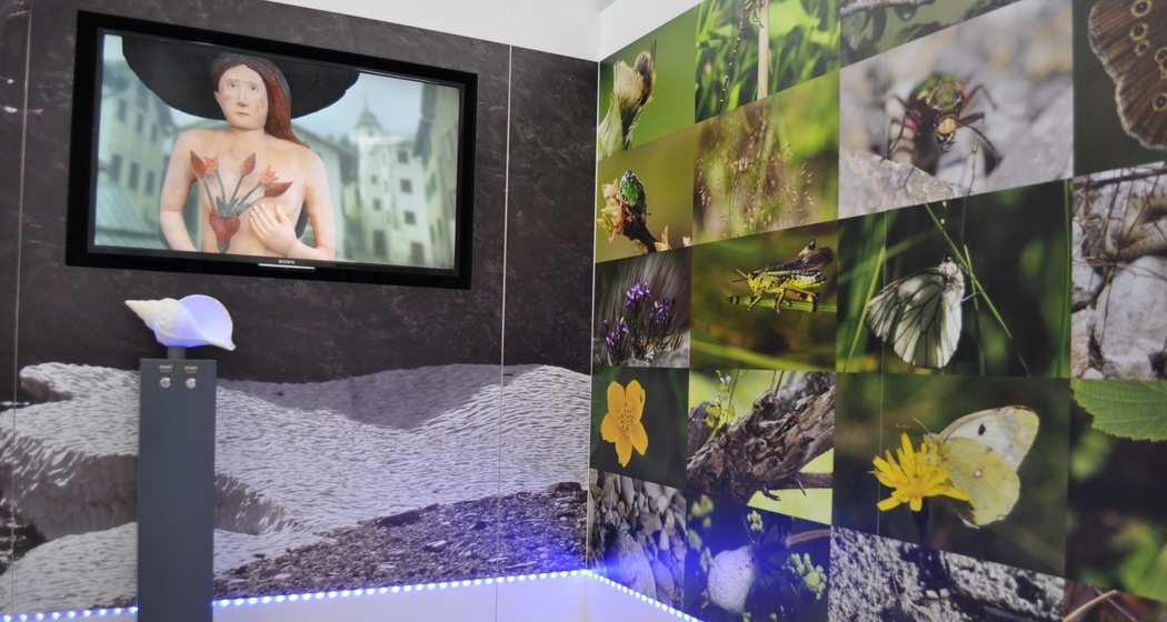 faszinaturRaum (oua_93754539_image)