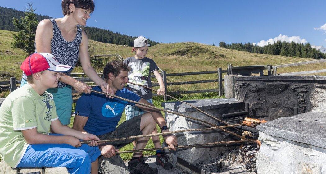 Die Feuerstelle mit Feuerholz beim Sassli. Mit WC