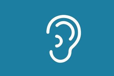 Gezähmtes Ungeheuer namens Rhein