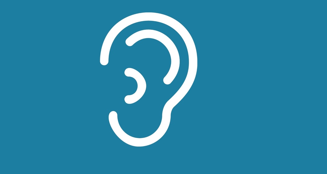 Gezähmtes Ungeheuer namens Rhein