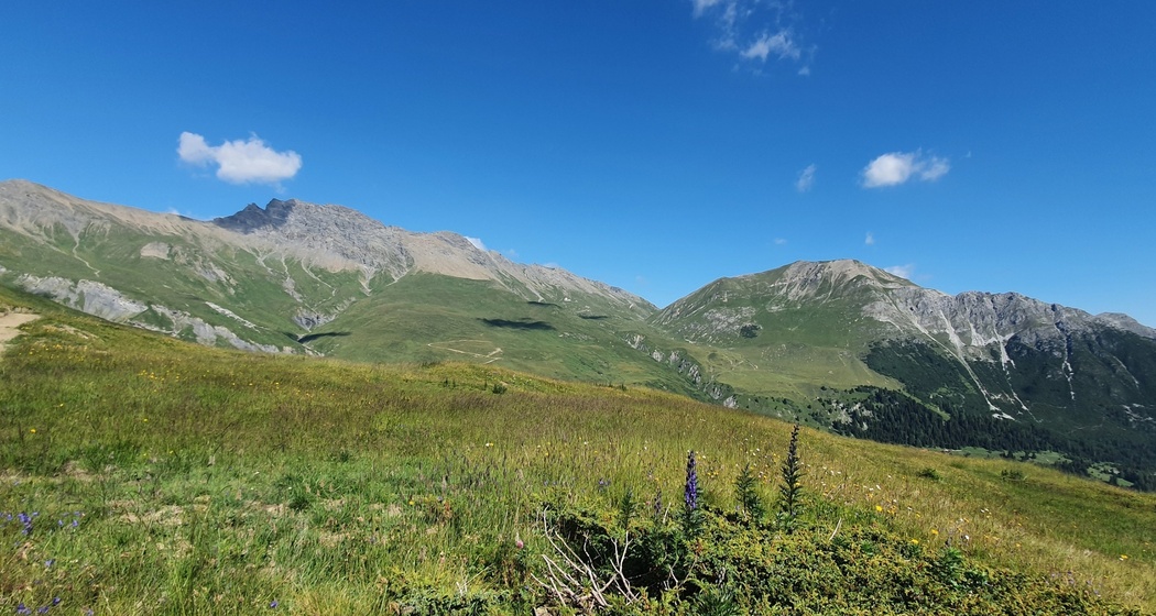 Somtgant - Ziteil - Salouf (oua_93999042_image)