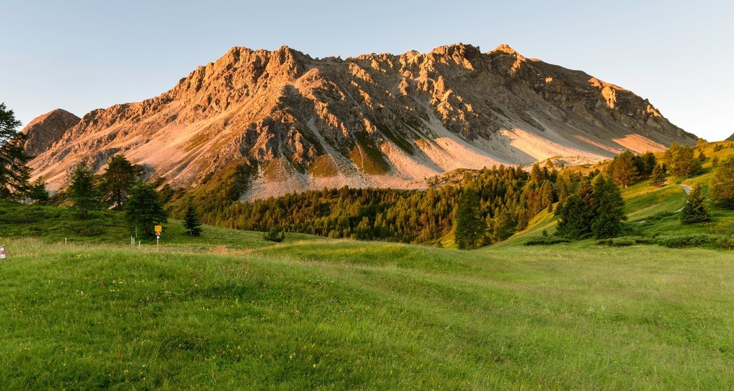 Munter - Ziteil - Cre digl Lai (oua_93999387_image)