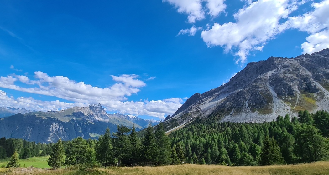 Munter - Ziteil - Cre digl Lai (oua_93999390_image)