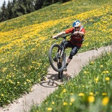 334 Clavadeler Alp (E-MTB tauglich) (oua_94586686_image)