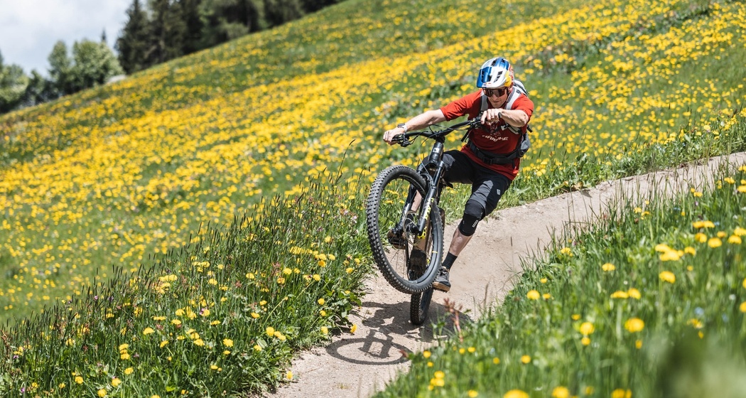 334 Clavadeler Alp (E-MTB tauglich) (oua_94586686_image)