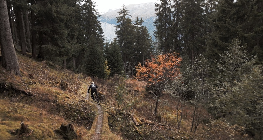 Antennatrail (oua_94756988_image)