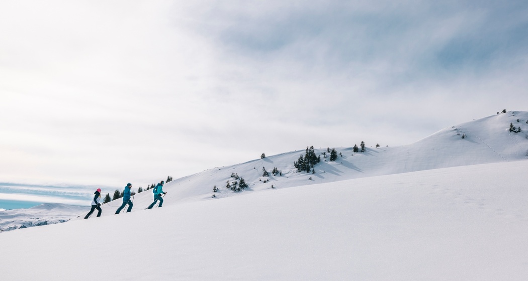 Schneeschuhtrail Prodalp-Panüöl