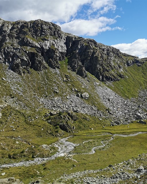 Selva - Cancian