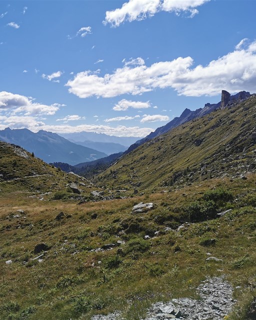 Selva - Cancian