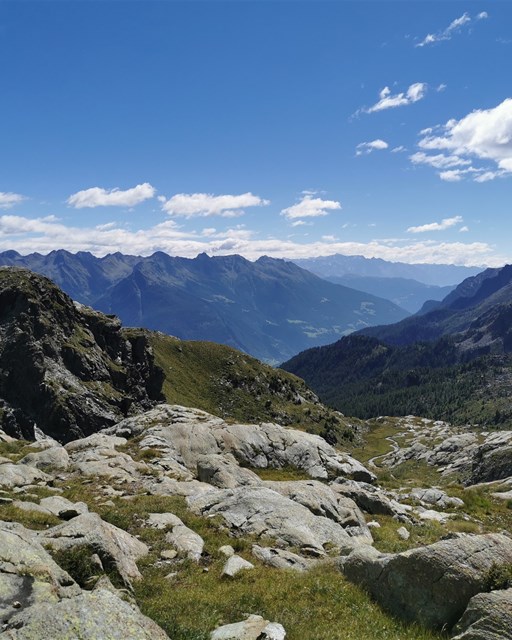 Selva - Cancian