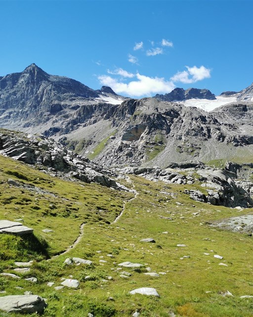 Selva - Cancian