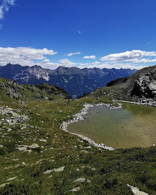 Selva - Cancian