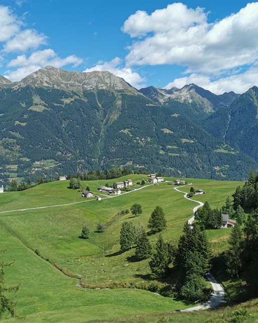 Selva - Cancian