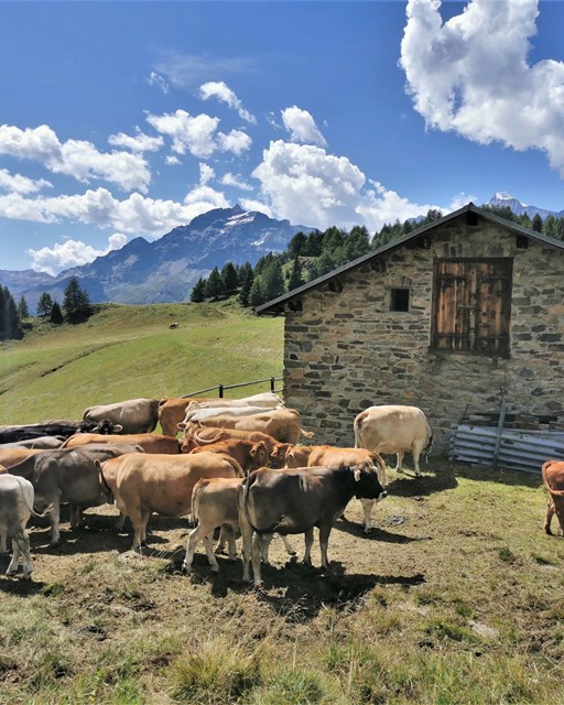 Wanderung Lagh dal Teo