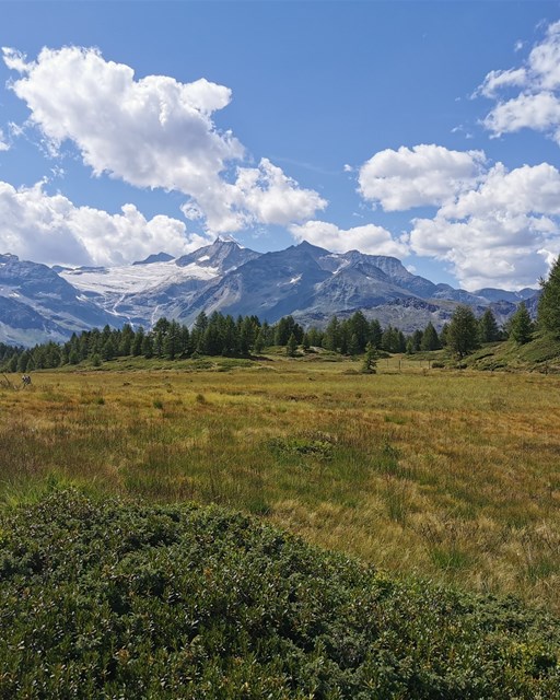 Wanderung Lagh dal Teo