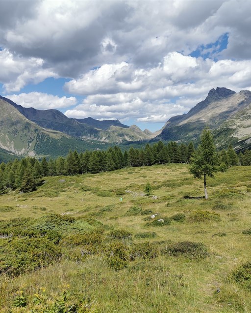 Wanderung Lagh dal Teo