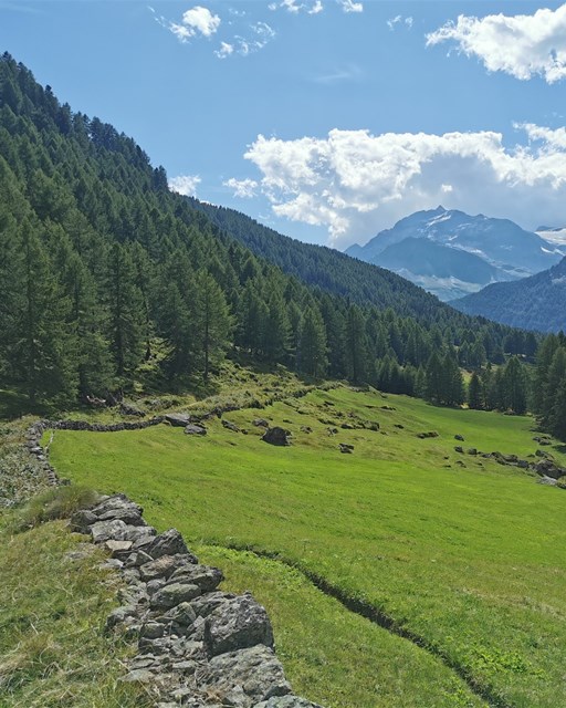 Wanderung Lagh dal Teo