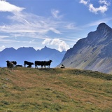 Wanderung Piz Campasc