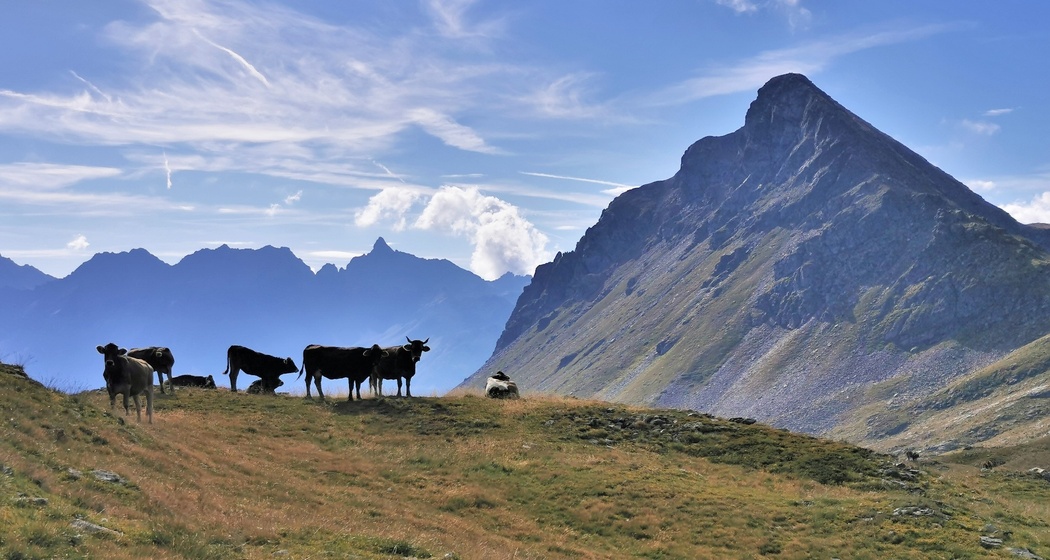 Wanderung Piz Campasc