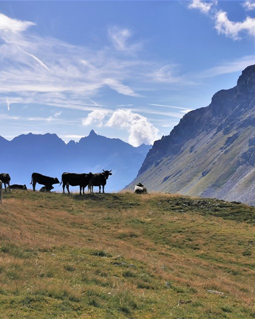 Wanderung Piz Campasc