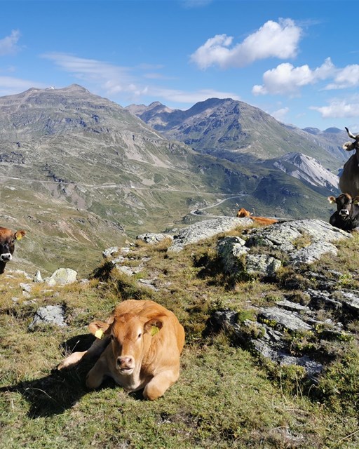 Wanderung Piz Campasc