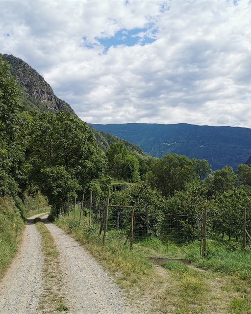Miralago - Tirano