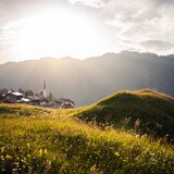 Tenna au clair de matin