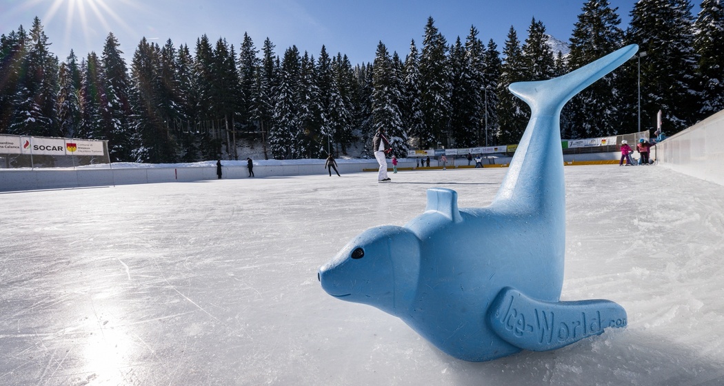 Centro Sportivo San Remo (oua_95114827_image)