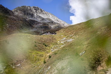 Chamonna dal Linard CAS/SAC (oua_95331420_image)