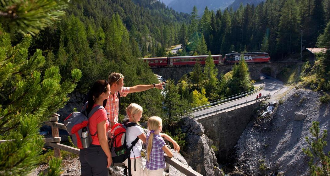 33.05 Preda - Spinas, Via Albula / Bernina (oua_9549776_image)