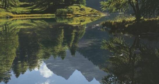 33.05 Preda - Spinas, Via Albula / Bernina (oua_9549789_image)