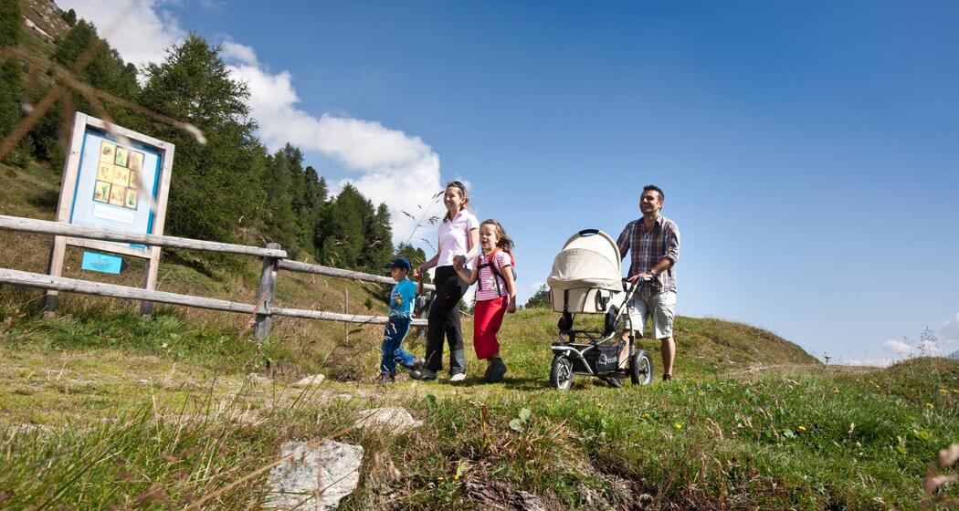 33.06 Spinas - St. Moritz (oua_9549845_image)