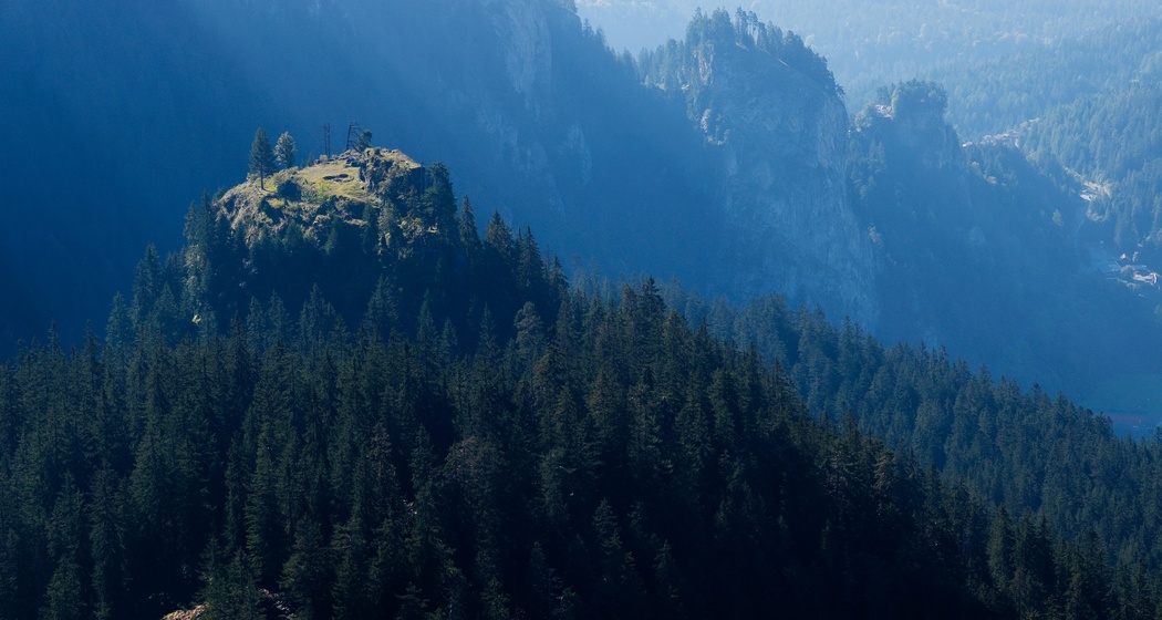 Walser, Ritter und Kühe: Eine Rundwanderung über die Ruine Belmont nach Bargis. (oua_95598246_image)