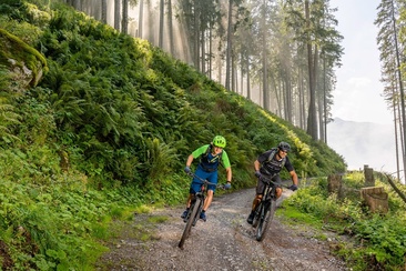 Biken Wald