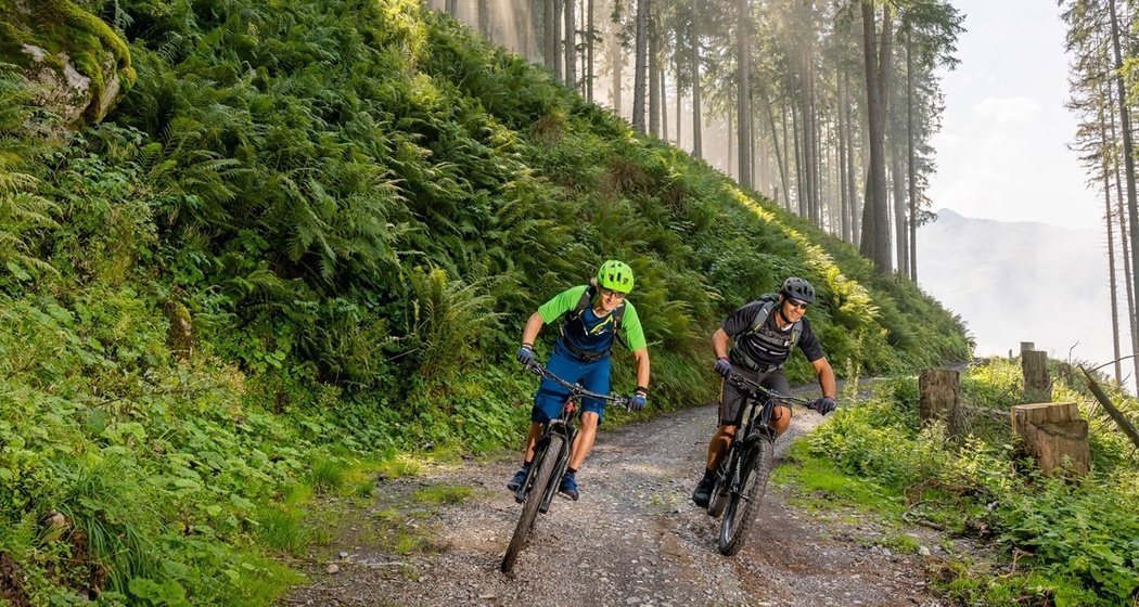 Biken Wald