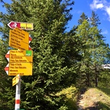 MARCHE | Sanbe Trail & Vertical Contest (oua_96000783_image)