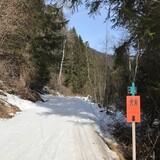 Sur En – Ramosch (oua_96082786_image)