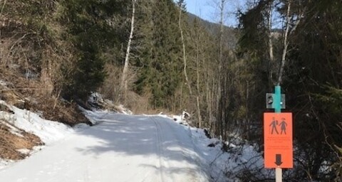 Sur En – Ramosch (oua_96082786_image)