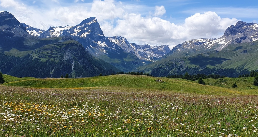 Alp Flix - Moorlandschaft von nationaler Bedeutung (Bivio - Savognin, Teilstück Via Sett) (oua_96119283_image)