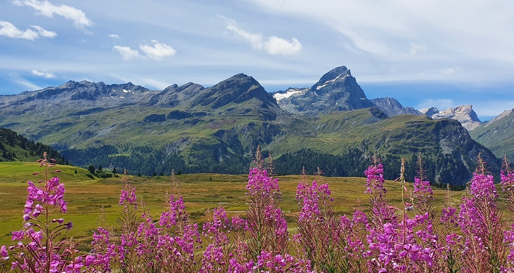Alp Flix - Moorlandschaft von nationaler Bedeutung (Bivio - Savognin, Teilstück Via Sett) (oua_96119296_image)